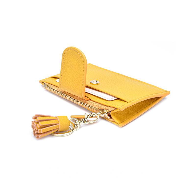 Zippered Card Case with Keyring and Tassel - Overview