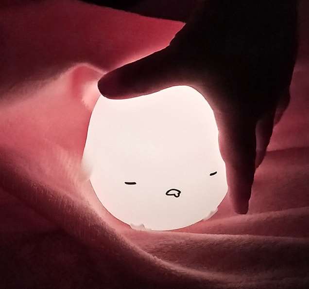 Cartoon Silicone Night Light - Light On