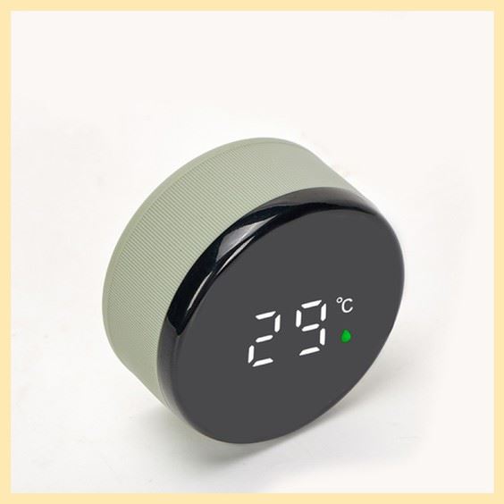 Digital Temperature Display