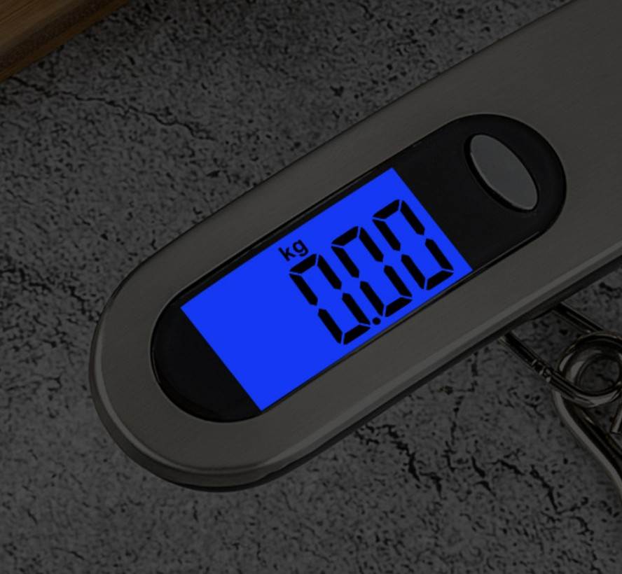 Portable Mini LCD Travel Scale - Backlit LCD Screen