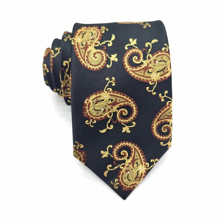 Fashion Paisley Silk Tie - Black and Brown