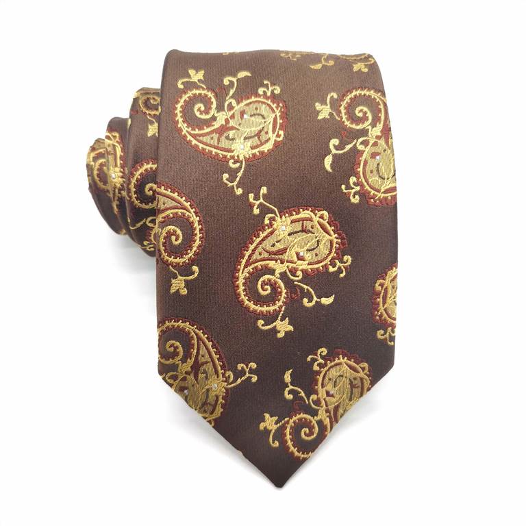 Fashion Paisley Silk Tie - Brown